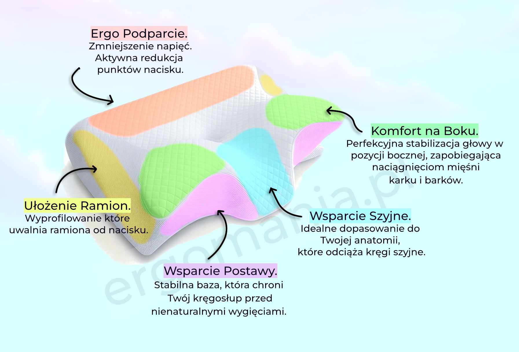 Poduszka ErgoSen Soft o wielostrefowej budowie - wsparcie kręgów szyjnych i ochrona kręgosłupa dla pełnej regeneracji.